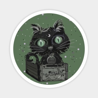 LITTLE CAT GREEN Magnet